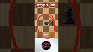 BASICS FOR BEGINNERS: How to STOP THE PAWN! #chess #endgame #chesstraining