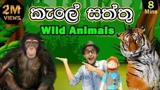 කැලේ සත්තු බලන්න යමු | Wild Animal Names for Kids | Jungle Animals names| Kids TV