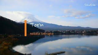 Torn by Natalie Imbruglia [4k karaoke] 60 fps @vocalvibe