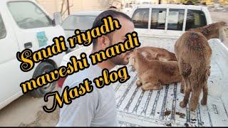 saudia Riyadh maweshi mandi new vlog  @JawadKPG