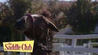 The Saddle Club - Set Up | Season 01 Episode 13 | HD | Full Episode