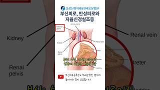 뭘 해도 피곤합니다, 자율신경과 관련이 있나요? 부신피로, 만성피로 #shorts