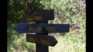 Jack London State Park May 4, 2019