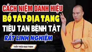 Cách Niệm Danh Hiệu Bồ Tát Địa Tạng Để Tiêu Tan Bệnh Tật (Rất linh nghiệm) - Thầy Thích Đạo Thịnh