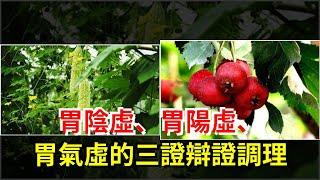 胃陰虛、胃陽虛、胃氣虛的三證辯證調理