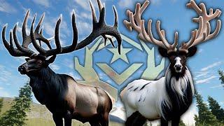 The Great One Elk Could Be Insane... Call of the wild