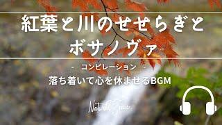 Natural Sonic「 紅葉と川のせせらぎとボサノヴァ」コンピレーション - 落ち着いて心を休ませるBGM -