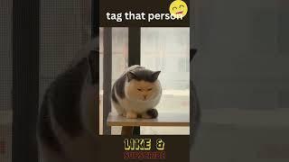 tag that lazy person#cuteanimalsfunnyvideosshorts #shorts #cute #cuteviral #shortsfeed