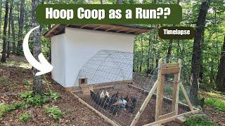 DIY Chicken Coop Build | Part 3 (Interior & Run)