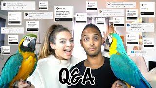 Answering EVERYTHING you asked! || Mikey And Mia The Macaws Q&A