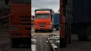 Камаз с перегрузом заезжает на весы #зерновоз #камаззерновоз #перегруз #пополной #зерновозырулят