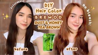 DIY HAIR COLOR USING BREMOD DUST & HONEY TEA BROWN (No Bleach!)  | Denays Ann