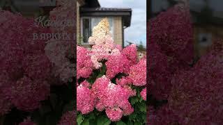 Все краски загородной жизни #недвижимость #омск #свойдом