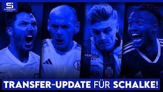 Transfer-Update Schalke: So steht es um Arslan, Bassette, Balikwisha, Mohr,  Ranos und mehr!