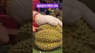 Cambodia jack fruits #ranjanyt #facts #jackfruit #combodia #apple #orange #ryt #treeplant #viral