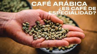 Qué DIFERENCIA al CAFÉ de ESPECIALIDAD? Arábica, pasos y controles