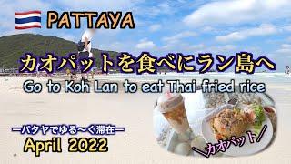 カオパットを食べにラン島へ（Go to Koh Lan to eat Thai fried rice）