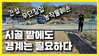 5도2촌 농막 주말농장 경계 만들기 / 밭 대문 만들기 / 고라니망으로 경계만들기