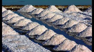 National Geographic - Sea salt excellent product of nature and the secret   Documentary