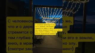 Тень человека - его корни