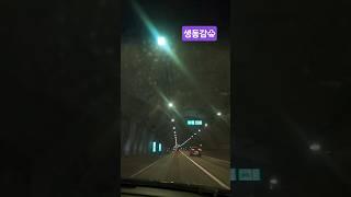 오늘도가슴이뛴다
