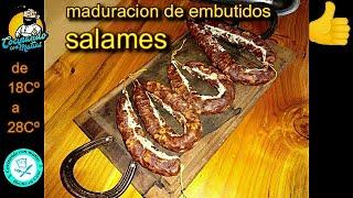 COMO madurar SALAME o (embutidos) en casa temperatura "18 a 28Cº" se puede?