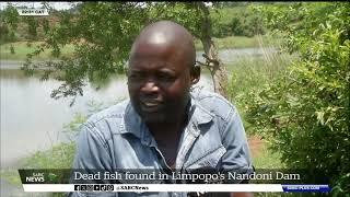 Dead fish found in Limpopo's Nandoni Dam