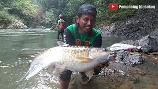 HUNTING FOR MAHSEER IN THE INTERNAL FOREST OF KALIMANTAN