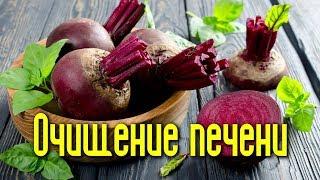 ЧИСТКА ПЕЧЕНИ СВЁКЛОЙ