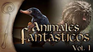 ANIMALES FANTÁSTICOS Vol.2 - Bestiario del Mundo Mágico