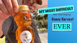 Most Difficult Honey Harvest Ever