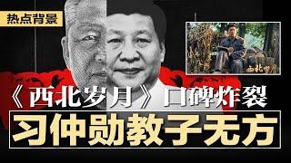 《西北岁月》口碑炸裂，网评：习仲勋最大汙点是教子无方；习近平的险境，世界比川普8年前当选更危险；11块钱买42平米山东海景房，中国房价如葱时代来临 | #热点背景20241111