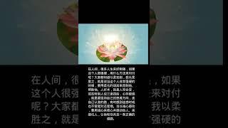 以柔克刚《国学经典》