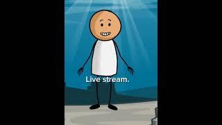 Jollytoons funny live stream