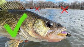 Start Catching MORE Walleyes Than Everyone Around You! (Springtime River Fishing)