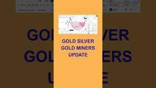 GOLD SILVER GOLD MINERS UPDATE