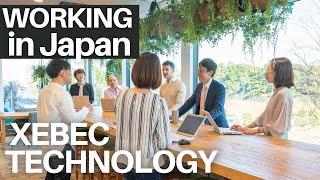 What it is like to work in a Japanese company?