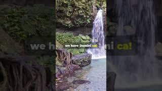 Dominica Carr: A Hiker's Paradise in the Caribbean