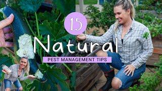 15 Tips for Natural Pest Management  + Organic Pest Control Strategy for Permaculture Gardens