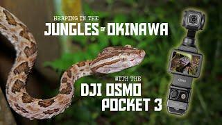 Herping in the Yanbaru Jungles of Okinawa with the DJI Osmo Pocket 3