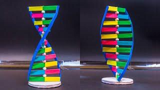 Science Projects | DNA Working Model