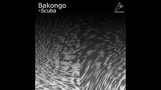 Bakongo - Iceberg [Hotflush Recordings]