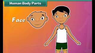 Human Body Parts nursery class animation video