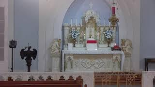 Tuesday 6 AM Latin Mass for 08/13/2024