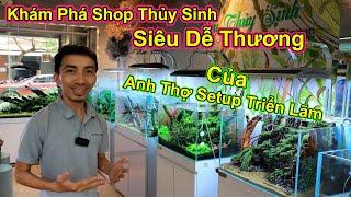 Tham Quan Siêu Thị Thủy Sinh Cute  | Yêu Thủy Sinh | BestAqua | Betta Sales