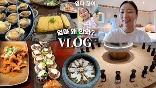 여긴 꼭 가보세요 제주도민이 고른 실패없는 맛집 ️ & 신라호텔에서 만든 뷰티브랜드 시효 | 주부가 유튜브4년 하면 생기는 일 