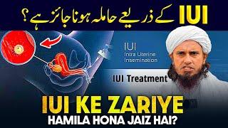 IUI Ke Zarye Hamila Hona Jaiz Hai? | Ask Mufti Tariq Masood