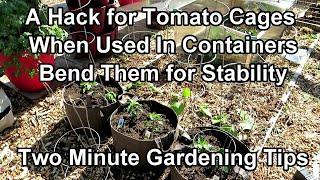 A Very Simple Tomato Cage Hack for Container Use - Bend Them for Stability: Two Minute TRG Tips