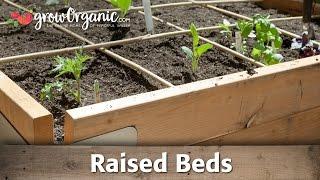 How to Grow Organic Vegetables in Raised Beds