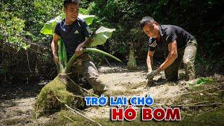 Sau Cơn Mưa - Đàn Chão Chuộc Đã Trở Lại Khu Hố B.om Trong Rừng